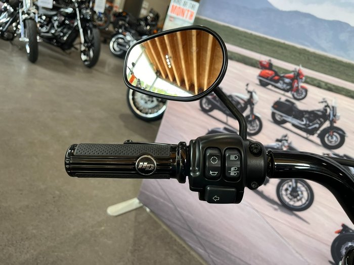 2020 HARLEY-DAVIDSON FLFBSANV FAT BOY 114 30TH ANNI