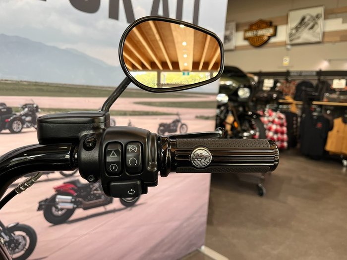 2020 HARLEY-DAVIDSON FLFBSANV FAT BOY 114 30TH ANNI