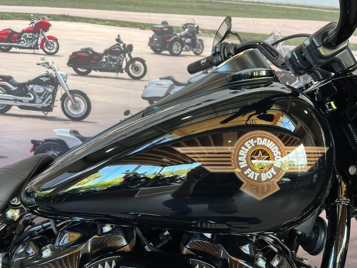 2020 HARLEY-DAVIDSON FLFBSANV FAT BOY 114 30TH ANNI