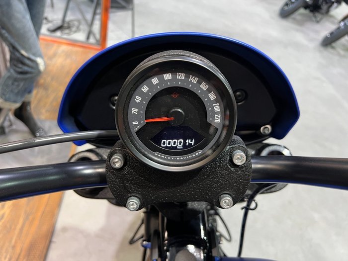 2026 HARLEY-DAVIDSON FXLRS LOW RIDER S (117)