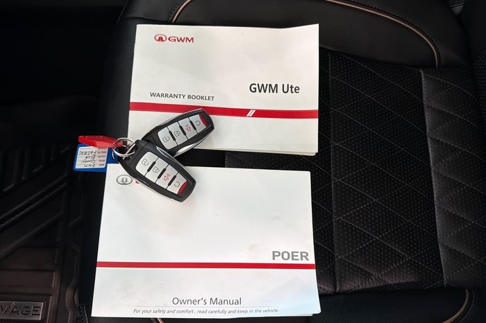 2022 GWM Ute Cannon-X