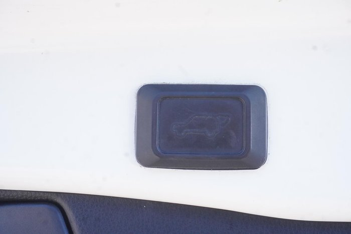 2021 Toyota RAV4 Cruiser