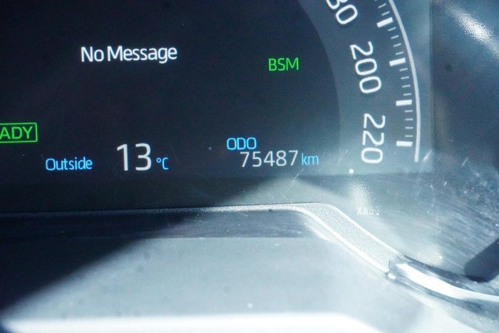 2021 Toyota RAV4 Cruiser