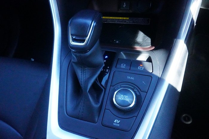 2021 Toyota RAV4 Cruiser