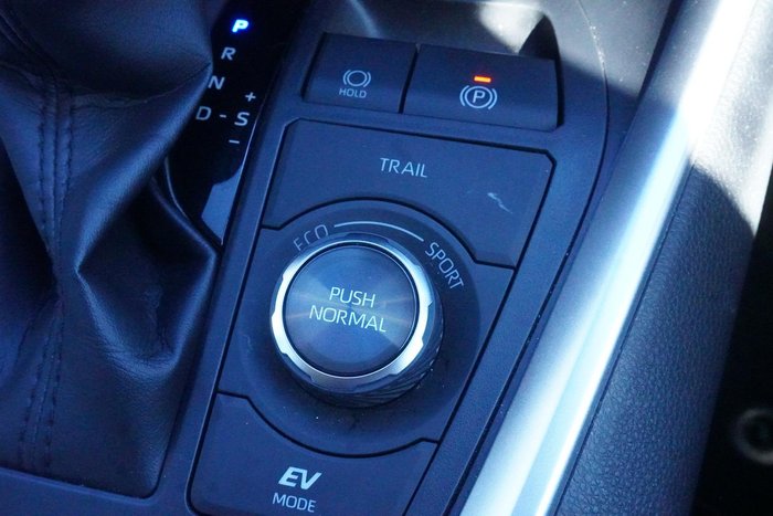 2021 Toyota RAV4 Cruiser