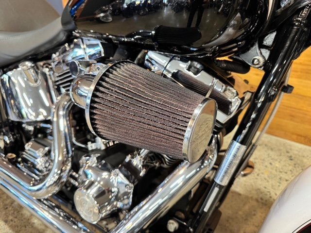 2005 HARLEY-DAVIDSON FLSTNI SOFTAIL DELUXE