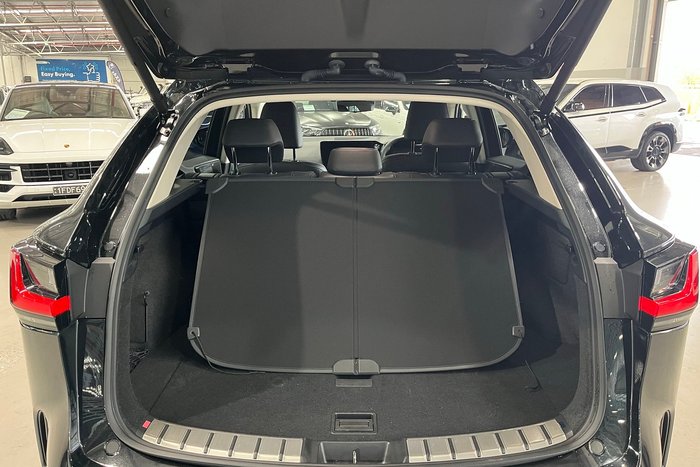 2024 Lexus NX NX350h Sports Luxury