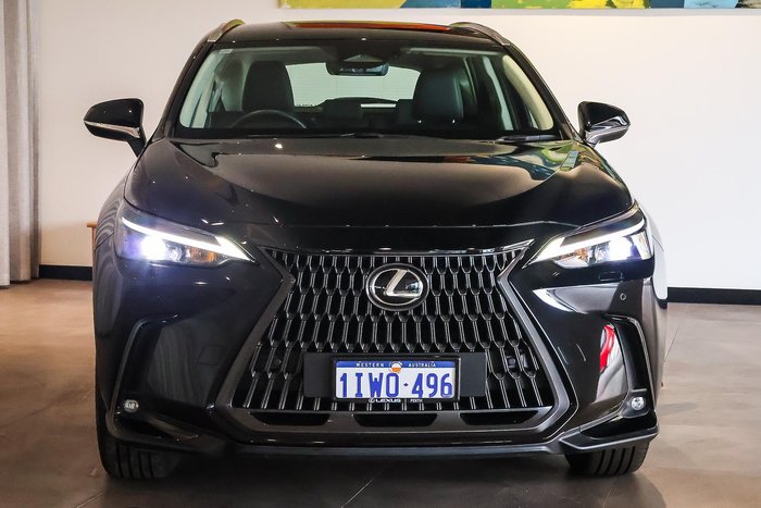 2024 Lexus NX 250