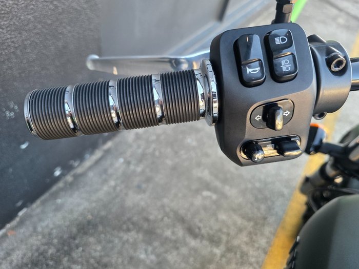 2022 Indian CHIEF DARK HORSE GREEN