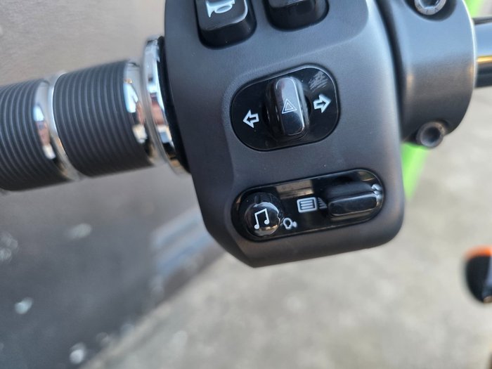 2022 Indian CHIEF DARK HORSE GREEN