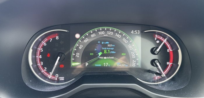 2020 Toyota RAV4 Cruiser