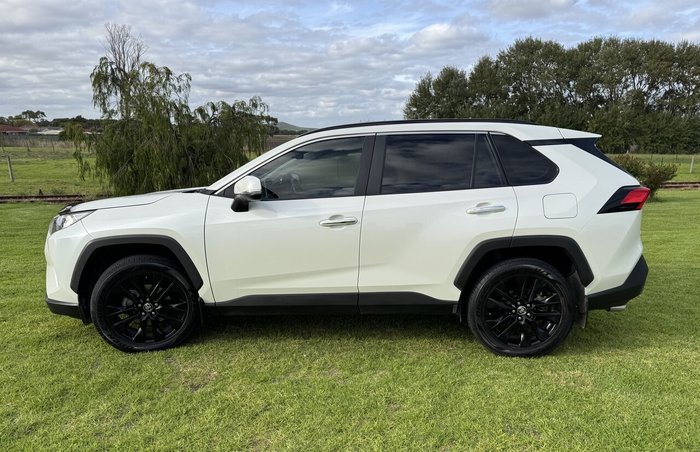2020 Toyota RAV4 Cruiser