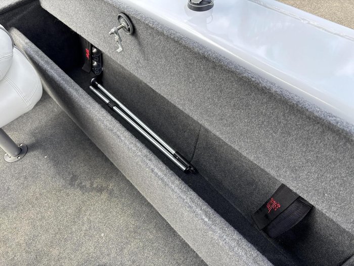 2022 QUINTREX 450 Hornet Pro