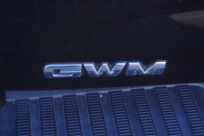 2022 GWM Ute Cannon-L