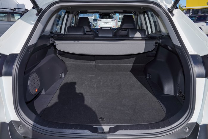 2020 Toyota RAV4 Cruiser