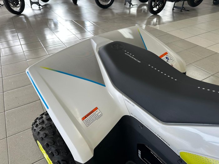 2025 CFMOTO CForce EV110