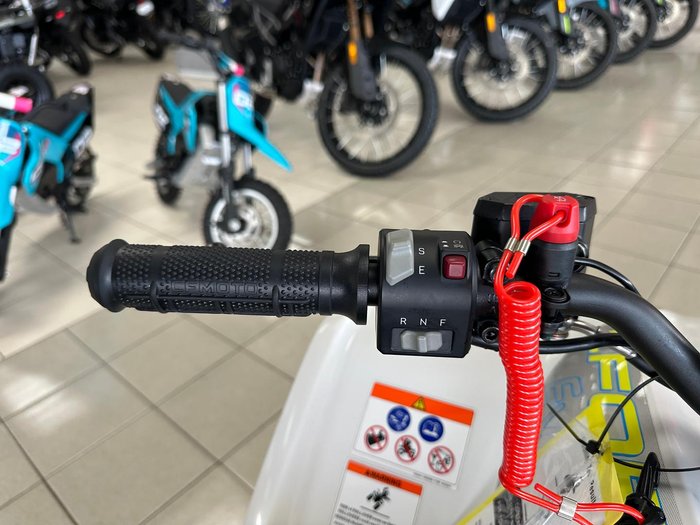 2025 CFMOTO CForce EV110 CForce White