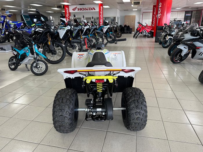 2025 CFMOTO CForce EV110 CForce White