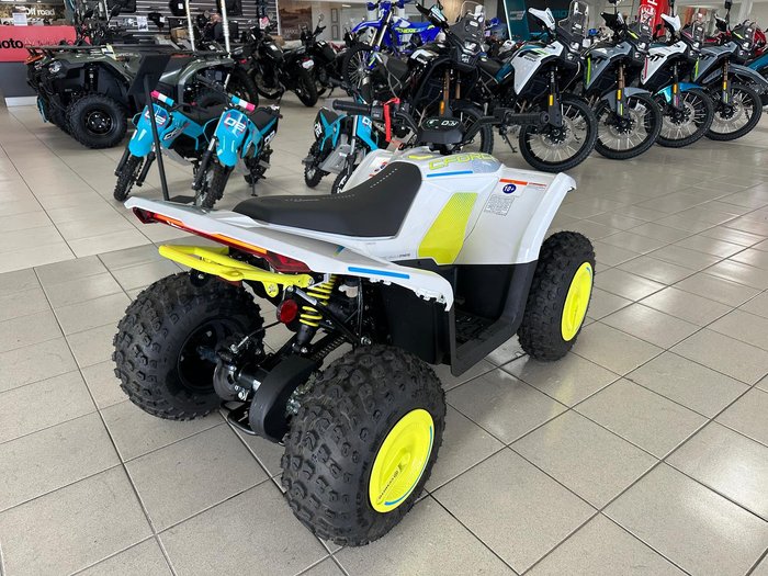 2025 CFMOTO CForce EV110