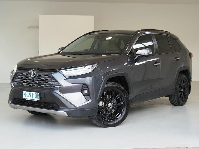 2025 Toyota RAV4 Cruiser