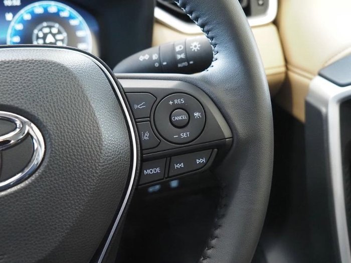 2025 Toyota RAV4 Cruiser