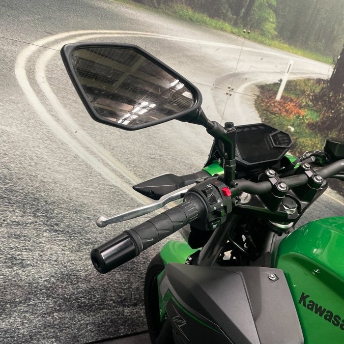 2024 Kawasaki Z500 Green