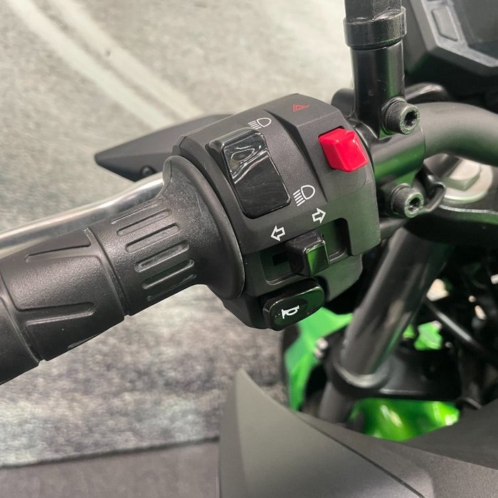 2024 Kawasaki Z500 Green