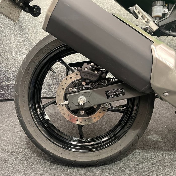 2024 Kawasaki Z500 Green