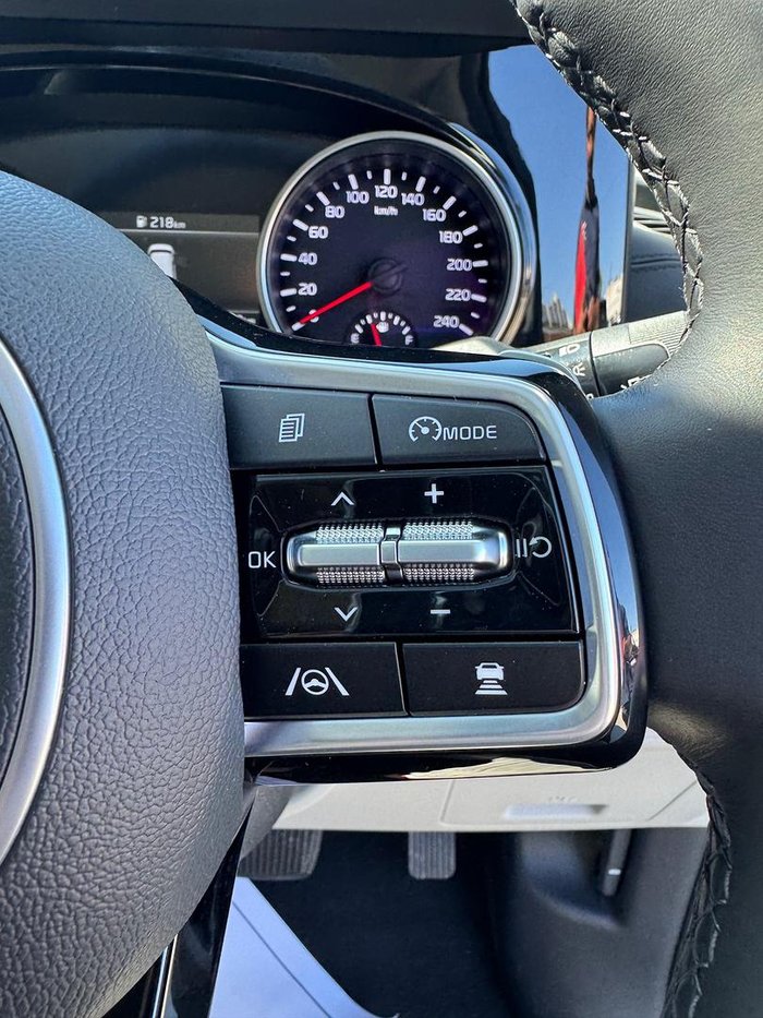 2024 Kia Carnival Platinum KA4 MY23 Panthera Metal