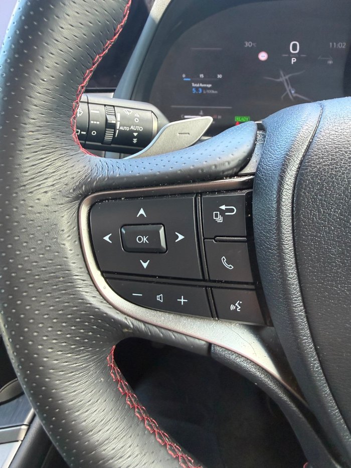 2024 Lexus UX UX300h F Sport