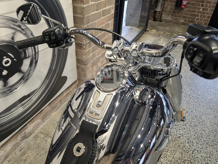 2025 Harley-Davidson Fat Boy Gray Ghost (FLSTFI) Softail Grey