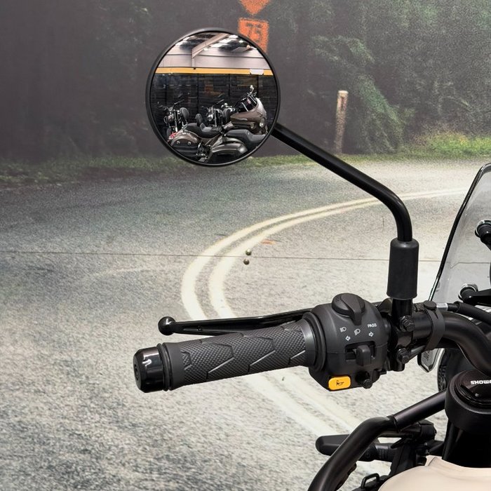 2025 Royal Enfield HIMALAYAN 450 Brown