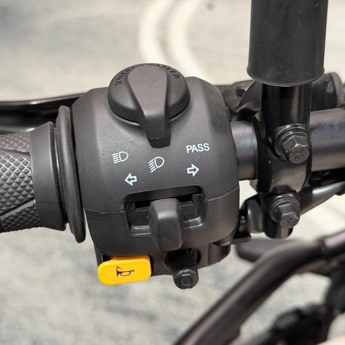 2025 Royal Enfield HIMALAYAN 450 Brown