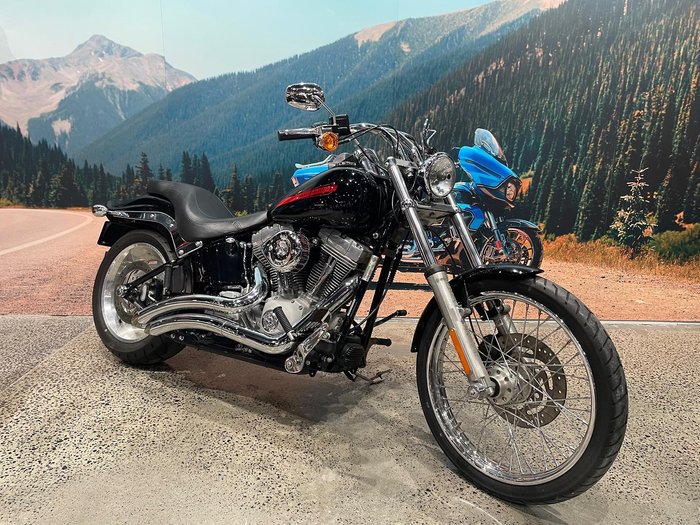 2009 Harley-Davidson Softail Standard 1584 EFI (FXSTI)