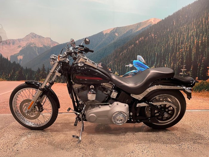 2009 Harley-Davidson Softail Standard 1584 EFI (FXSTI)