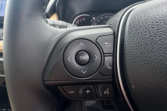 2021 Toyota RAV4 Cruiser