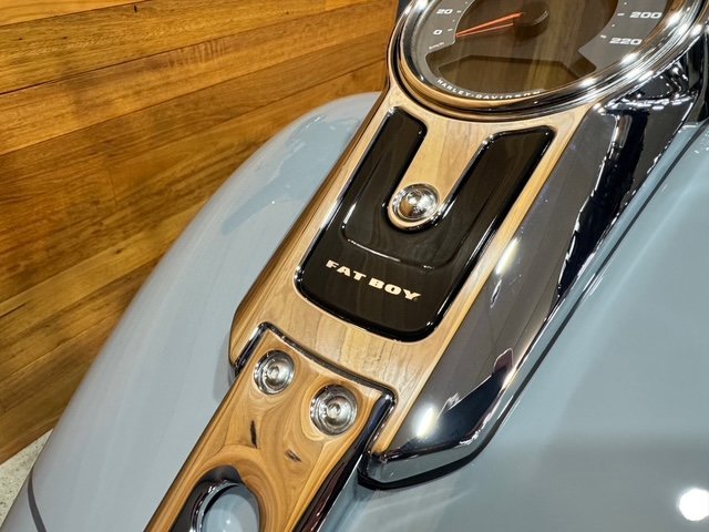 2026 HARLEY-DAVIDSON FLFB FAT BOY (117)