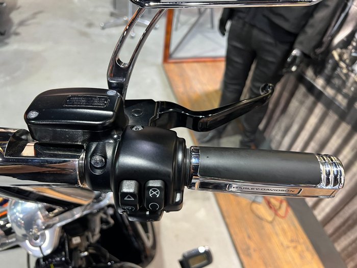 2022 HARLEY-DAVIDSON FLFBS FAT BOY S (114)