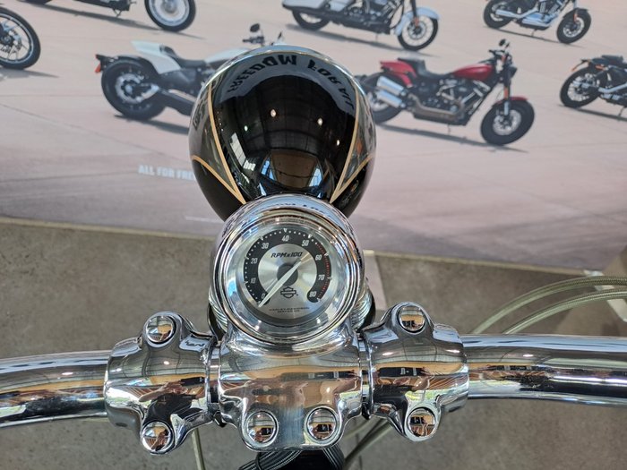 2008 HARLEY-DAVIDSON FXSTSSE S/EAGLE SPRINGER