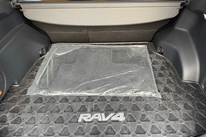 2025 Toyota RAV4 Cruiser