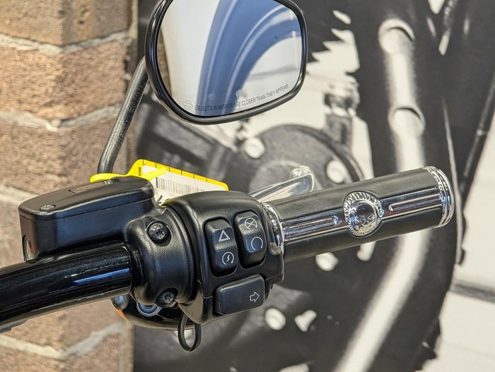 2020 Harley-Davidson Breakout 114 (FXBRS) Softail Blue