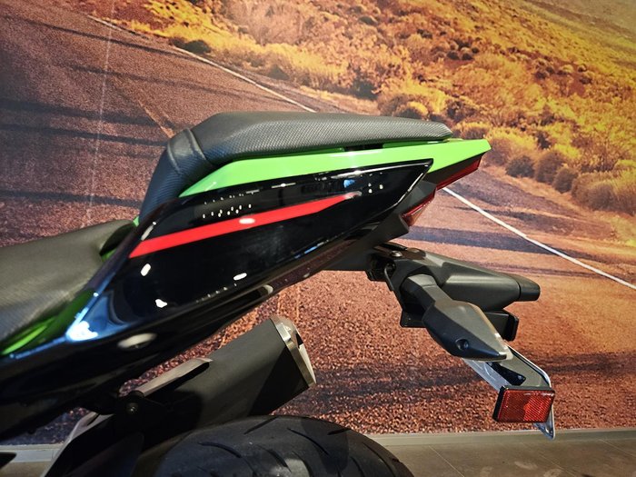 2020 Kawasaki Ninja 400 (EX400G) Ninja Green