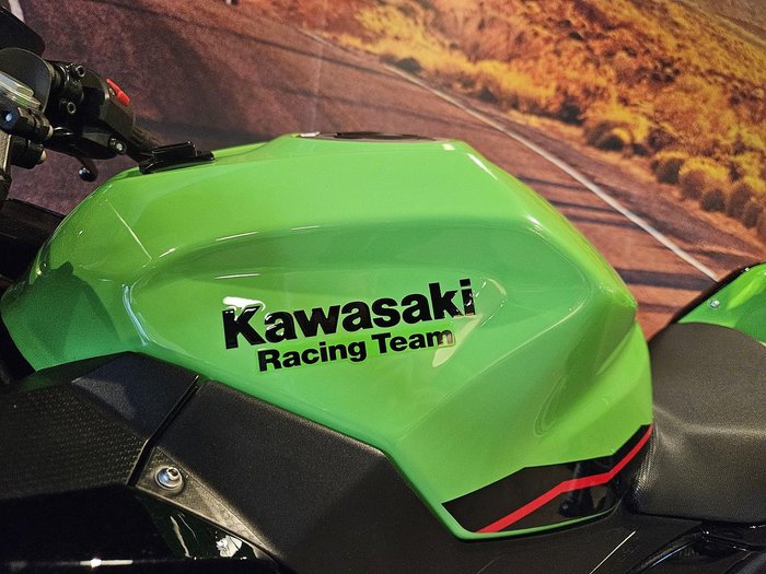 2020 Kawasaki Ninja 400 (EX400G) Ninja Green