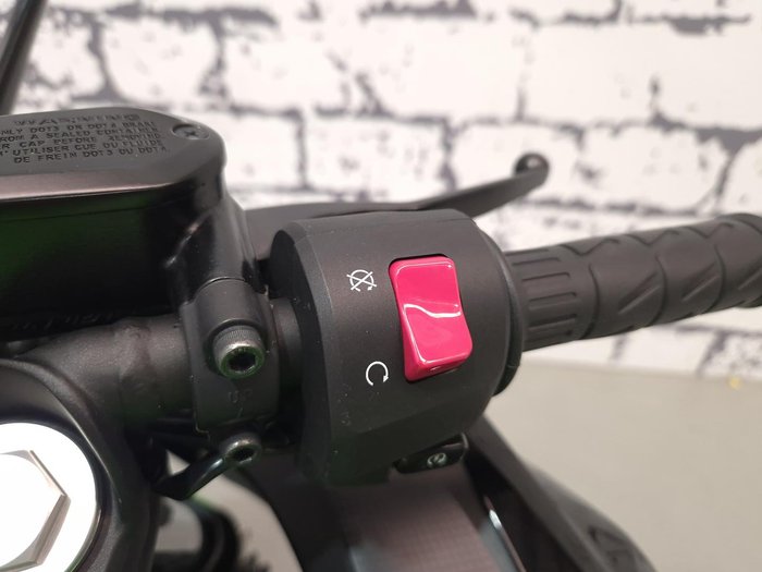 2024 Kawasaki Ninja 400 (EX400G) Ninja Green