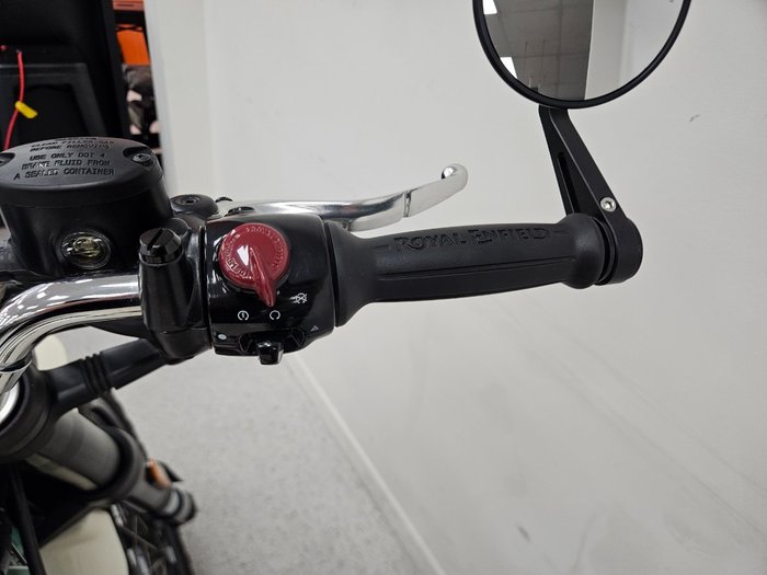 2025 Royal Enfield BEAR 650 WHITE 249