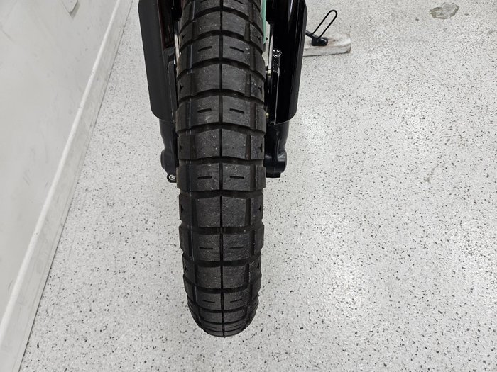 2025 Royal Enfield BEAR 650 WHITE 249