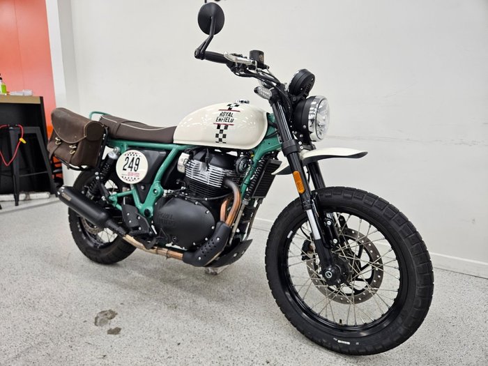 2025 Royal Enfield BEAR 650 WHITE 249