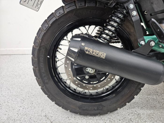 2025 Royal Enfield BEAR 650 WHITE 249