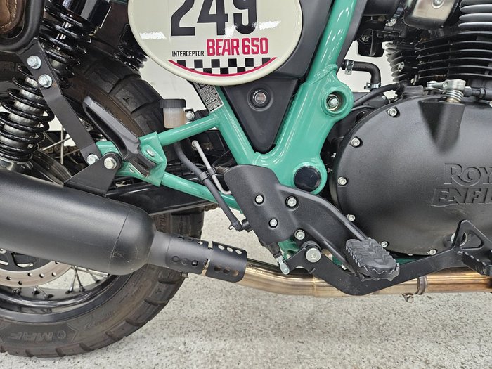 2025 Royal Enfield BEAR 650 WHITE 249