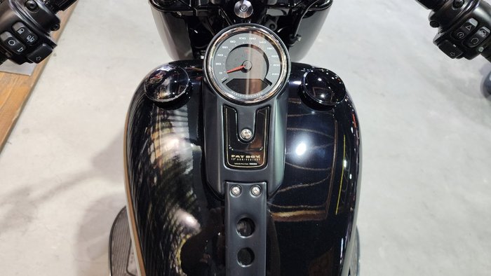 2020 HARLEY-DAVIDSON 2020 Harley-davidson 1900CC FLFBS FAT BOY ANNIVERSARY (114) CRUISER